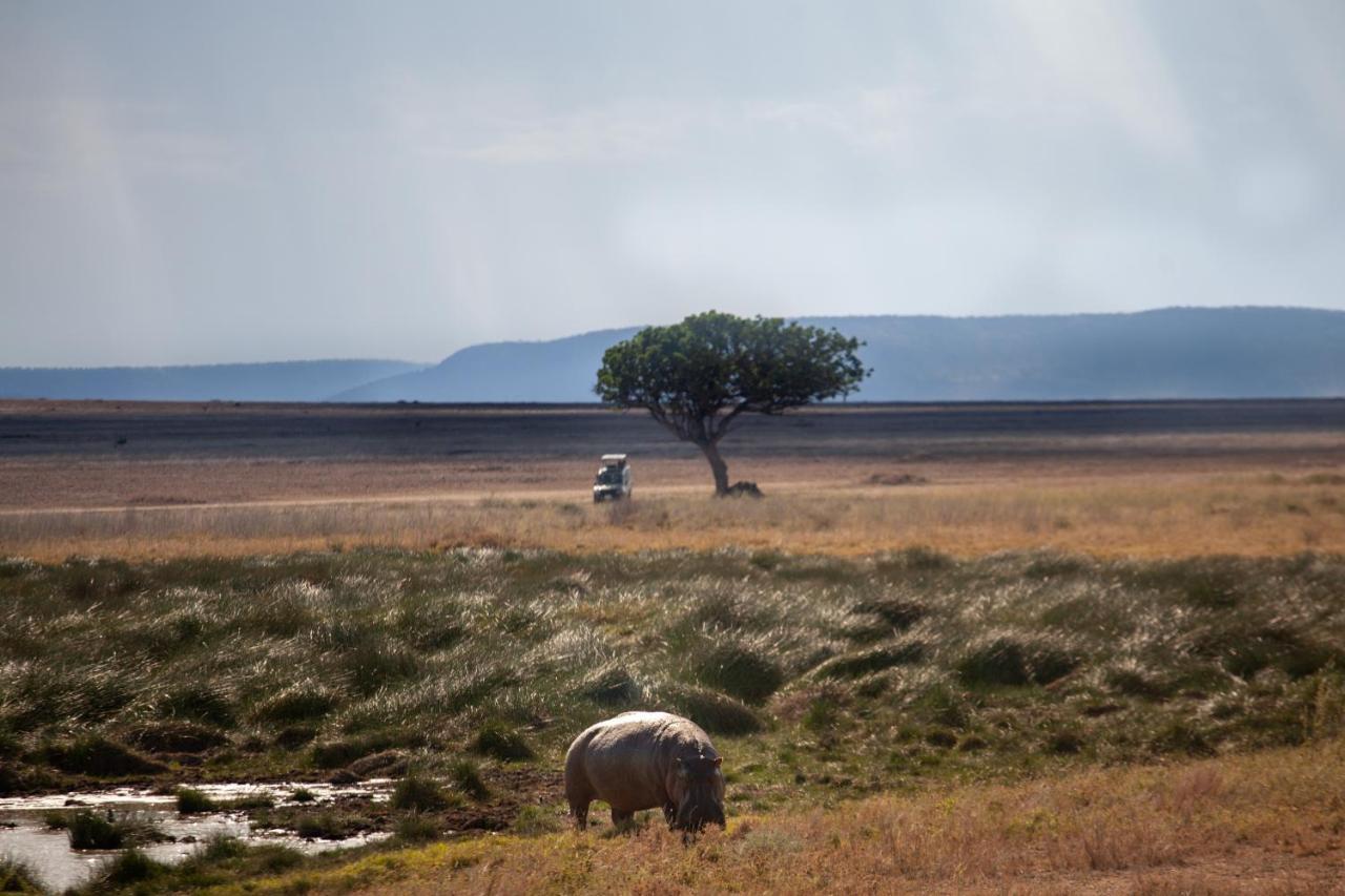 Mawe Tented Camp Serengeti Exterior foto