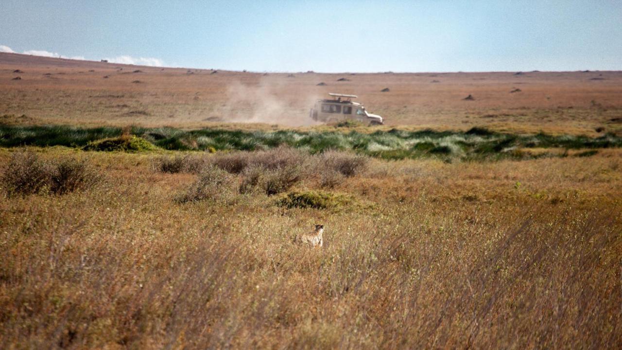 Mawe Tented Camp Serengeti Exterior foto